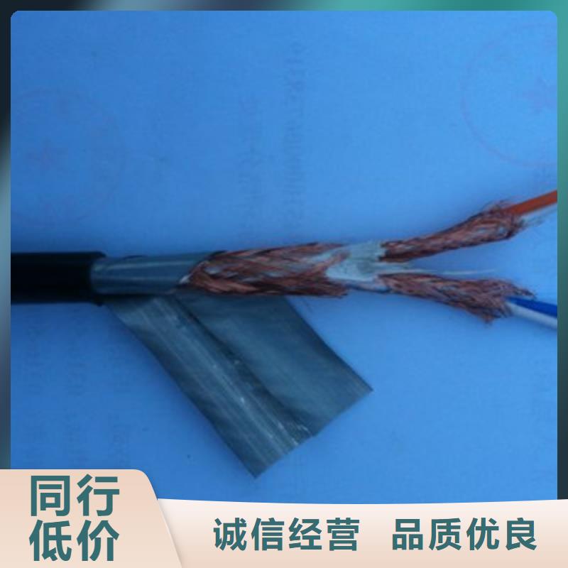 耐高溫電纜【屏蔽電纜】您想要的我們都有