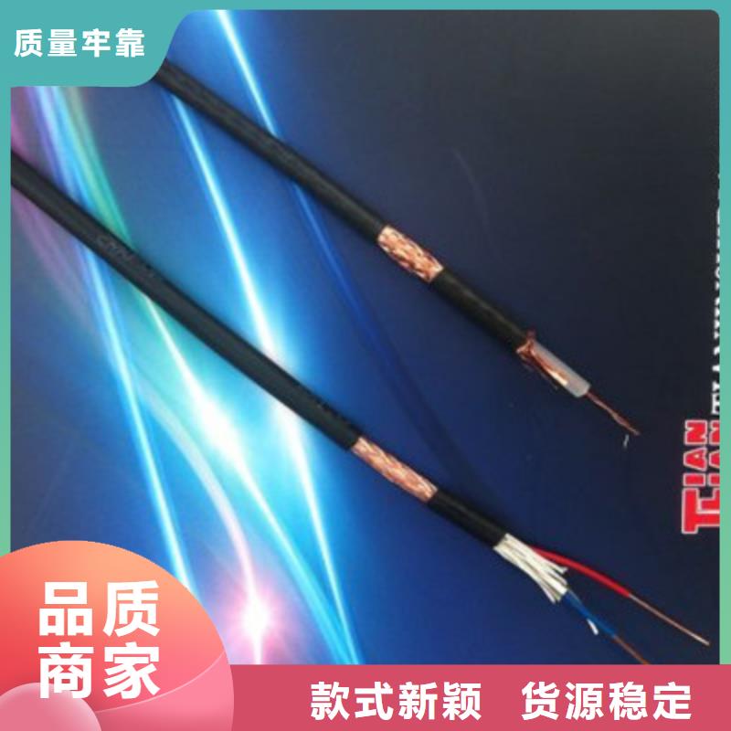 DJFVP2耐高溫計(jì)算機(jī)電纜4X2X1.0