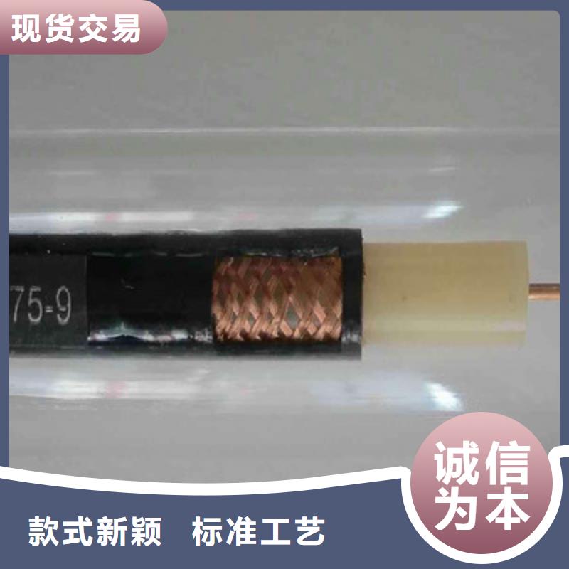 射頻同軸電纜計算機電纜源廠定制