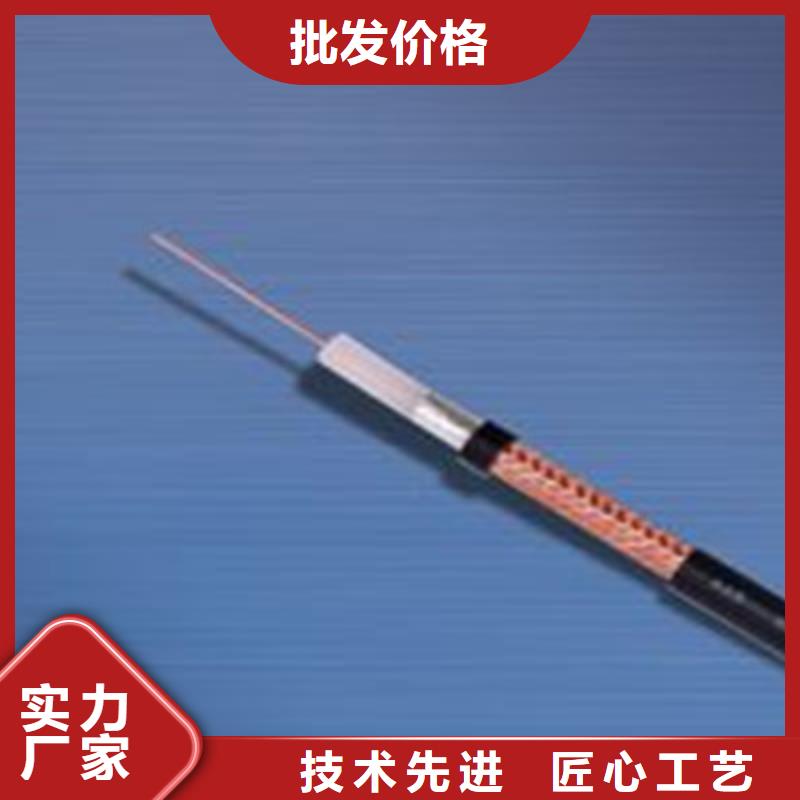 射頻同軸電纜屏蔽電纜專業(yè)生產(chǎn)團(tuán)隊(duì)