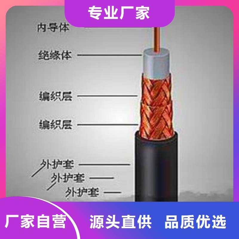 常年供應視頻監控電纜SYP-價格優惠