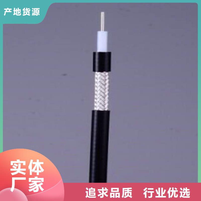 射頻同軸電纜-電纜生產廠家生產加工