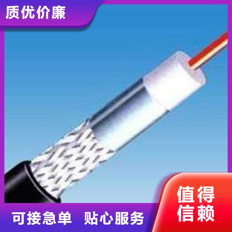 【射頻同軸電纜】_屏蔽電纜當地廠家值得信賴