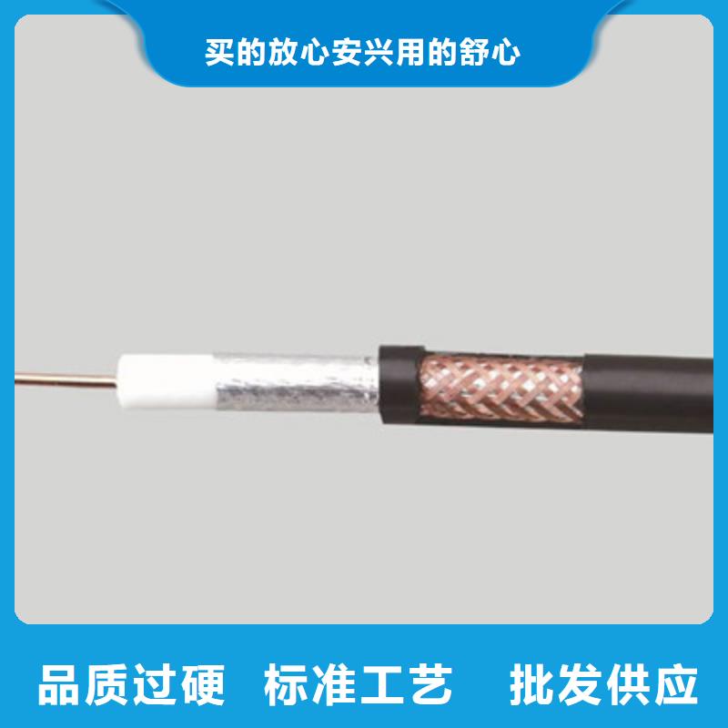 射頻同軸電纜屏蔽電纜源廠直銷
