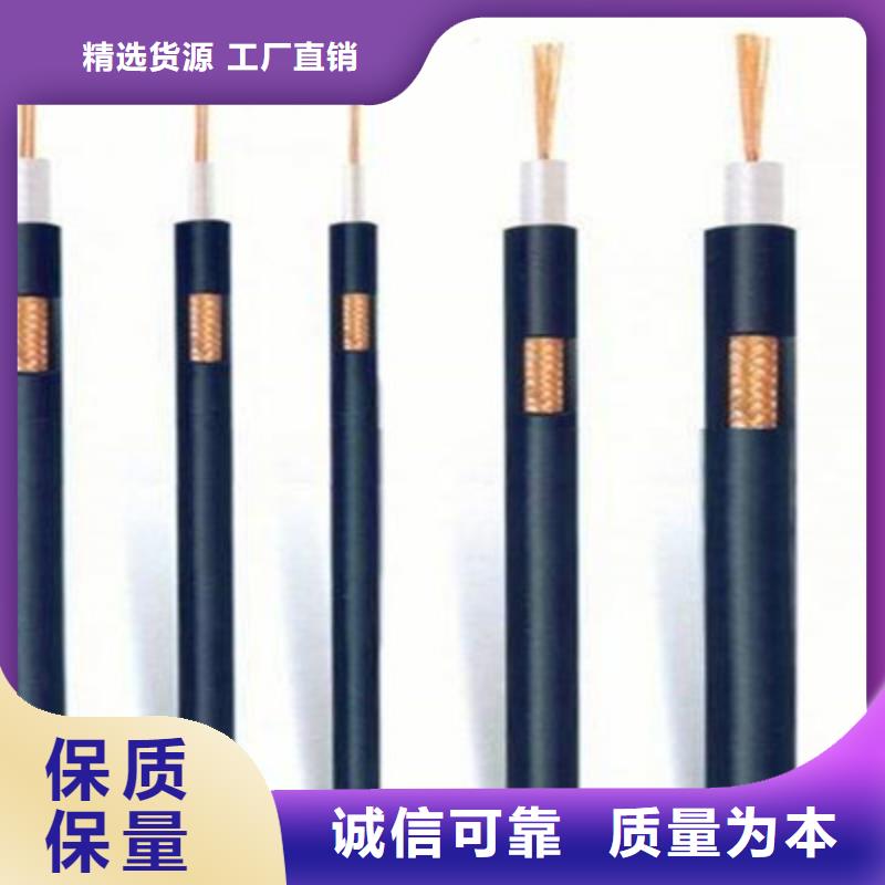 射頻同軸電纜計算機電纜源廠定制