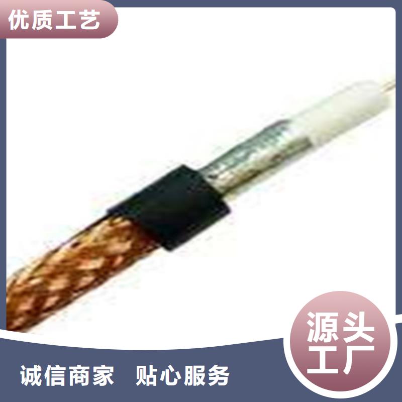 【射頻同軸電纜】信號電纜實力廠家