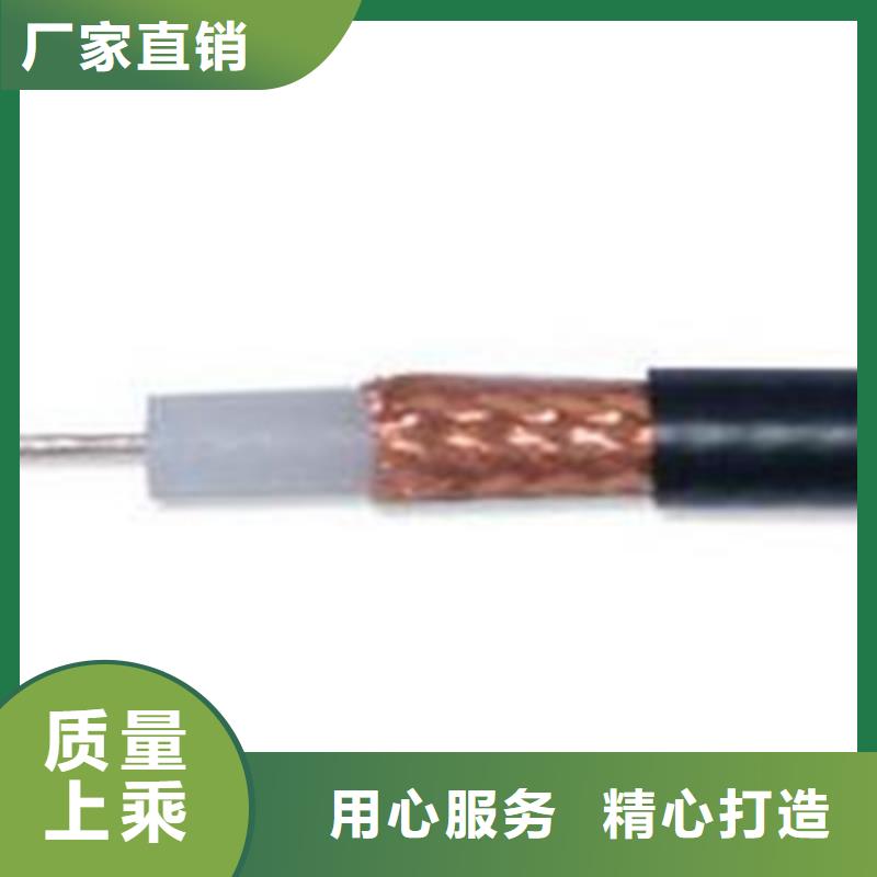 射頻同軸電纜_控制電纜N年大品牌