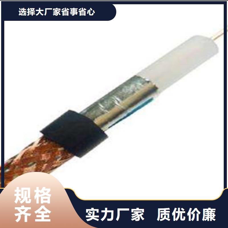 常年供應視頻監控電纜SYP-價格優惠