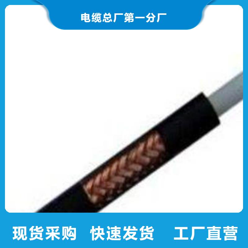 常年供應視頻監控電纜SYP-價格優惠