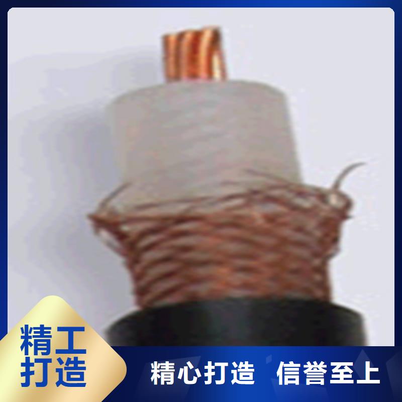 【射頻同軸電纜】_屏蔽電纜當地廠家值得信賴