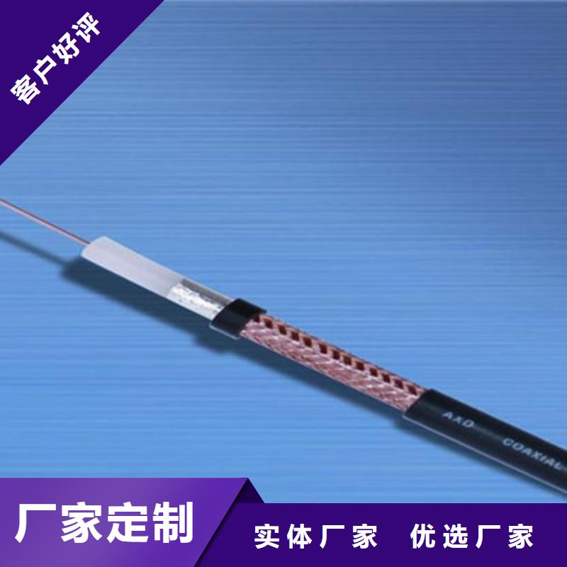 射頻同軸電纜屏蔽電纜專業(yè)生產(chǎn)團(tuán)隊(duì)