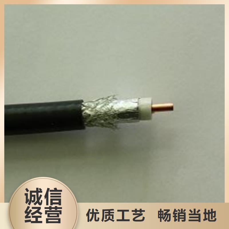 射頻同軸電纜屏蔽電纜專注質(zhì)量