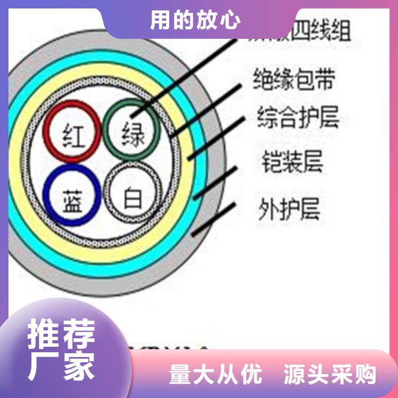 WDZ-PZYA23鎧裝鐵路電纜52芯