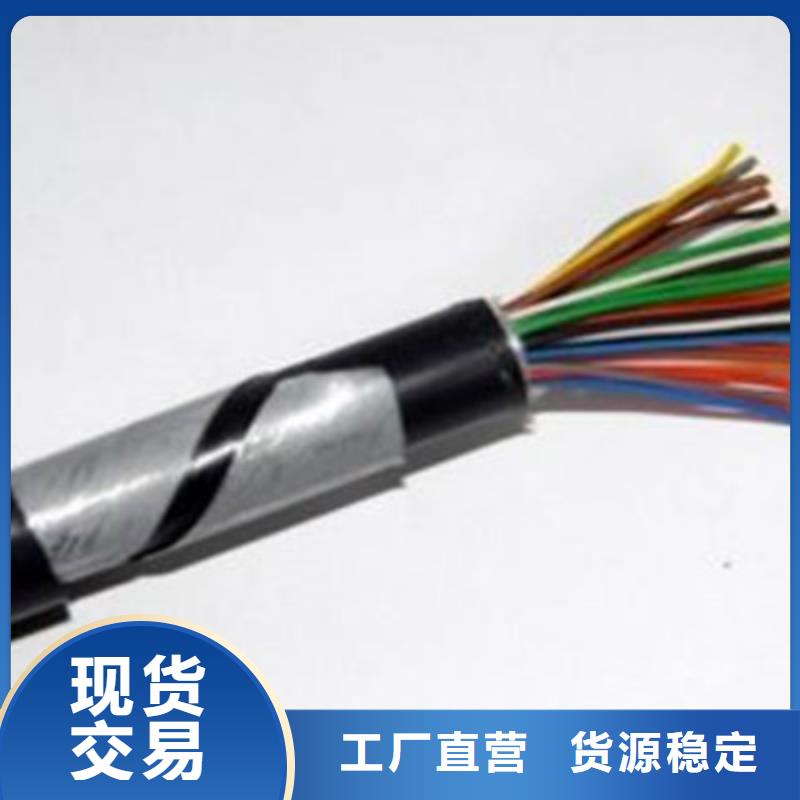 PTY22鎧裝鐵路電纜28芯