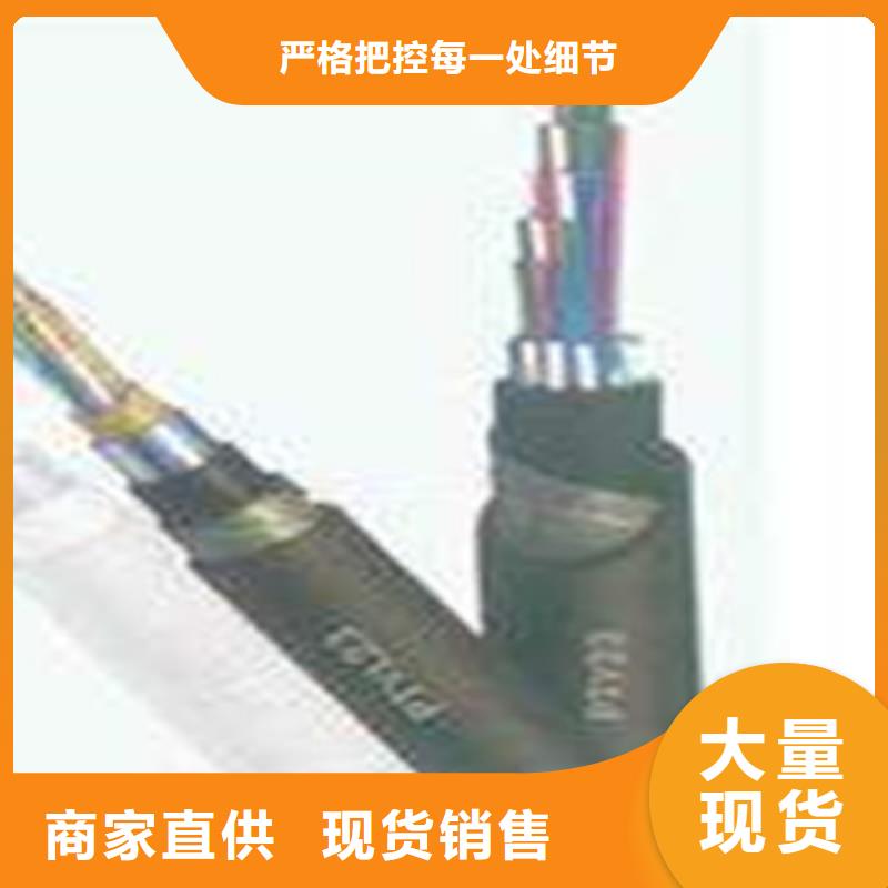 PTY22鎧裝鐵路電纜28芯