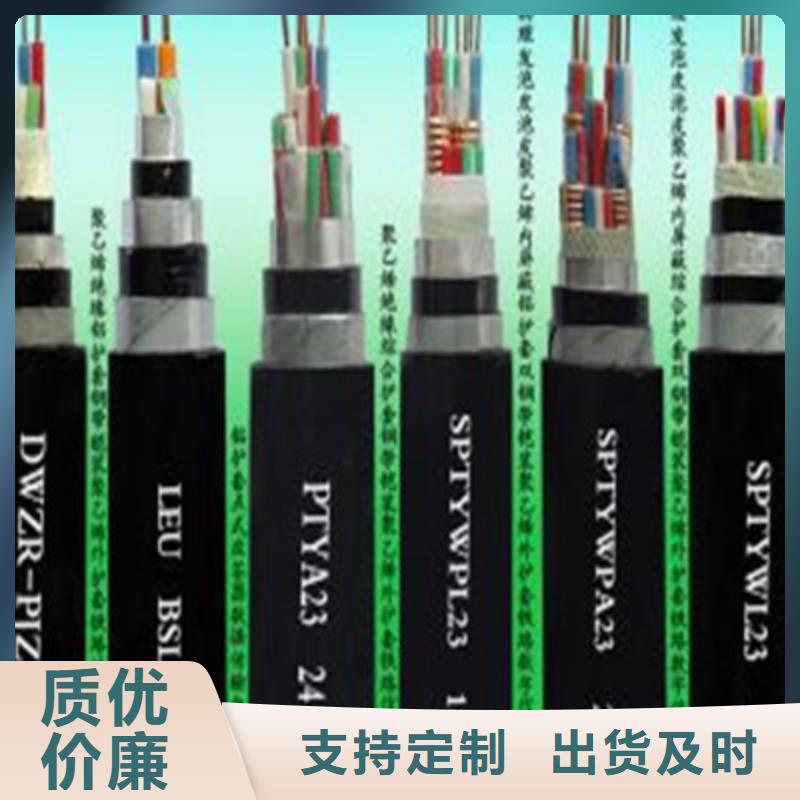 鐵路專用PZYVH信號電纜9芯