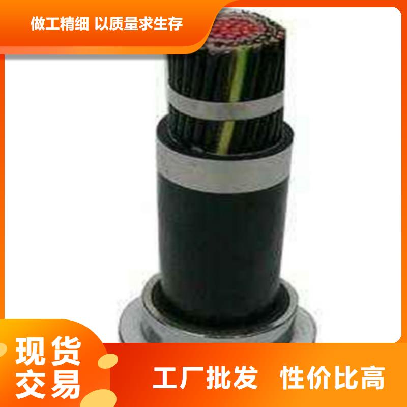 WDZ-PZYA23鎧裝鐵路電纜52芯