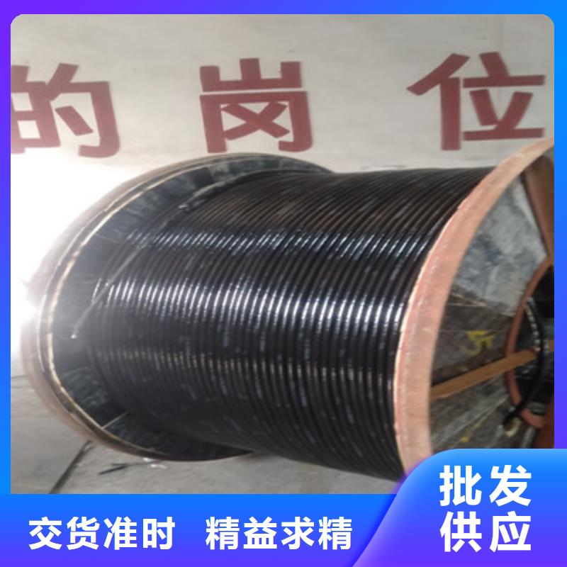 WDZ-48芯鐵路信號電纜4X1