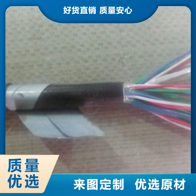 WDZ-PZYA23鎧裝鐵路電纜52芯