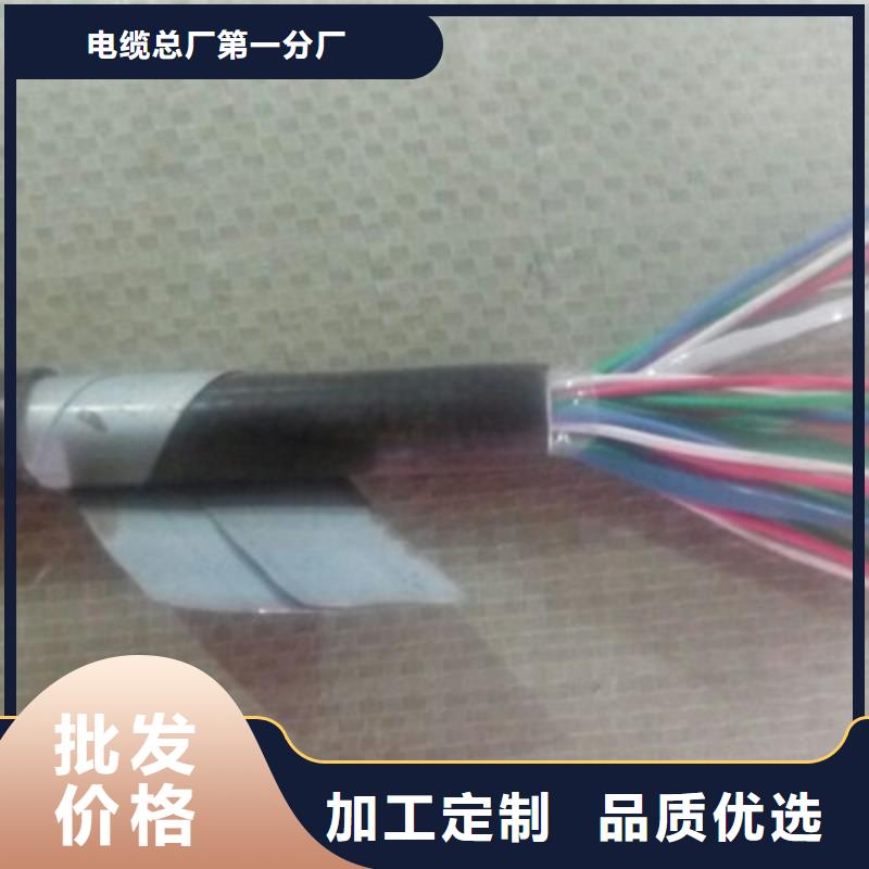 鐵路信號電纜【信號電纜】精工制作
