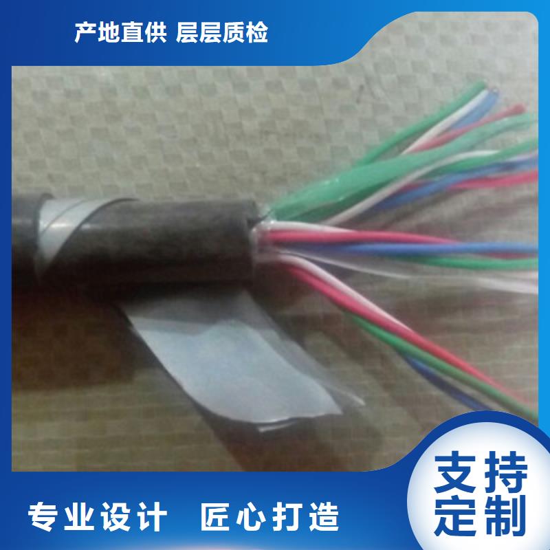 33芯鐵路信號(hào)電纜現(xiàn)貨供應(yīng)