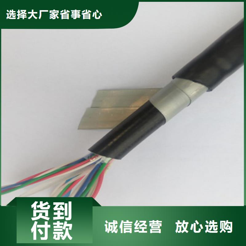 WDZ-PZYY23鎧裝信號電纜信息