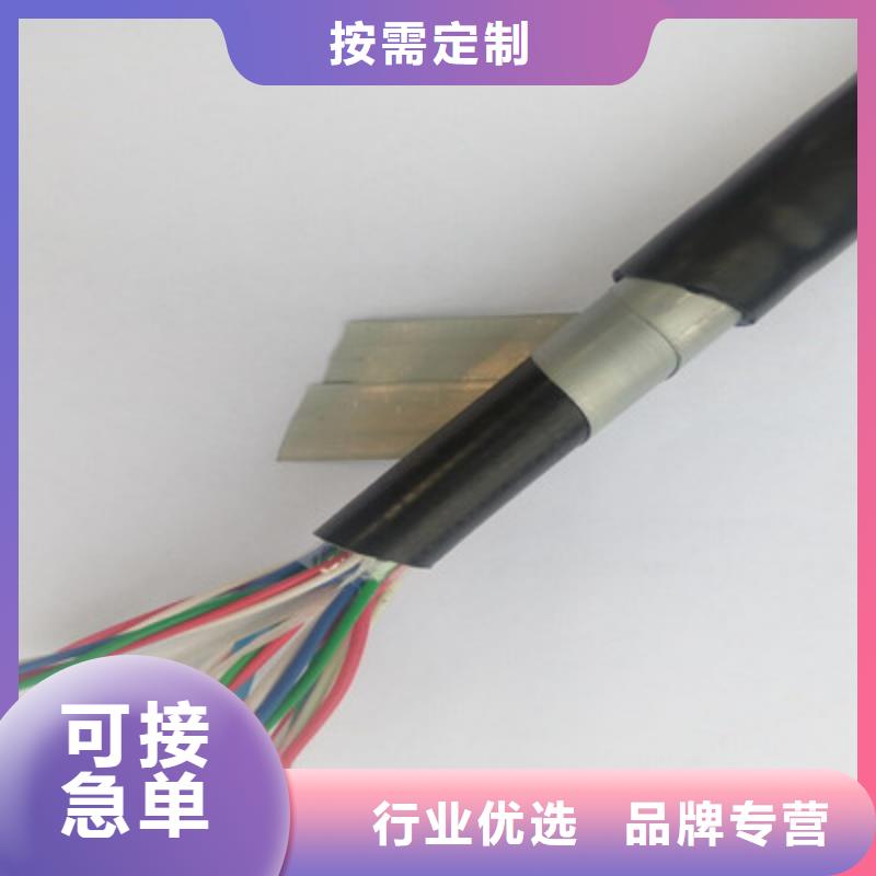 【鐵路信號電纜】-阻燃電纜廠家客戶信賴的廠家