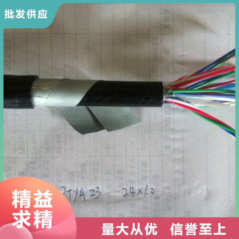 PTYL23鋁護套信號電纜6X1