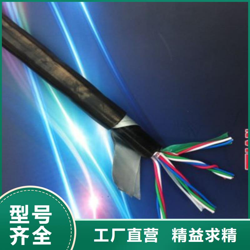 低煙無鹵鐵路電纜PTYV56X1.0