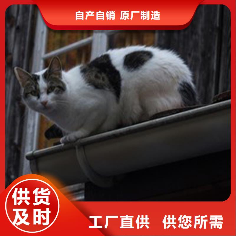 【天溝方形雨水管定金鎖價】