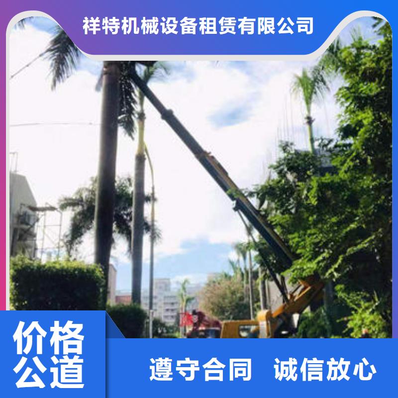 路灯车租赁服务诚信公司