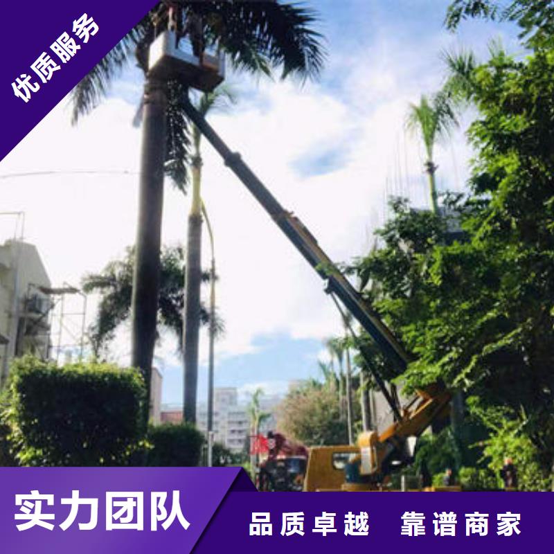 登高车租赁多少钱一个月诚信公司
