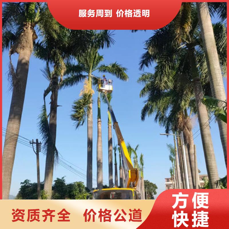 升降平台车宽多少口碑好