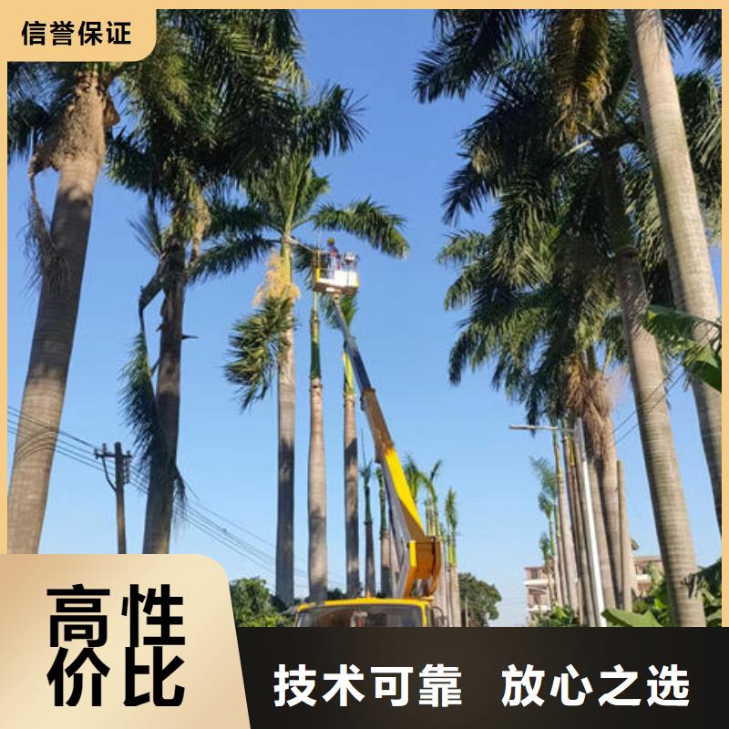 附近登高车租赁本地出租公司