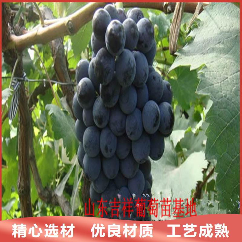 桃树苗视频-桃树苗|佳木斯市|汤原|抚远|黑河|绥化|哈尔滨|牡丹江|齐齐哈尔|大庆|大兴安岭