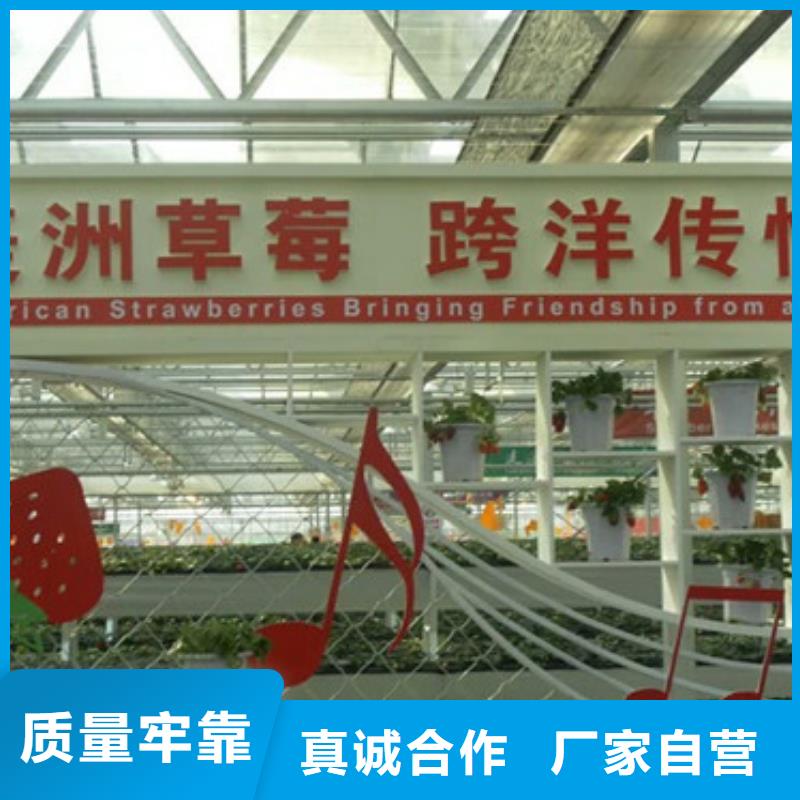 草莓苗-苹果苗批发价格