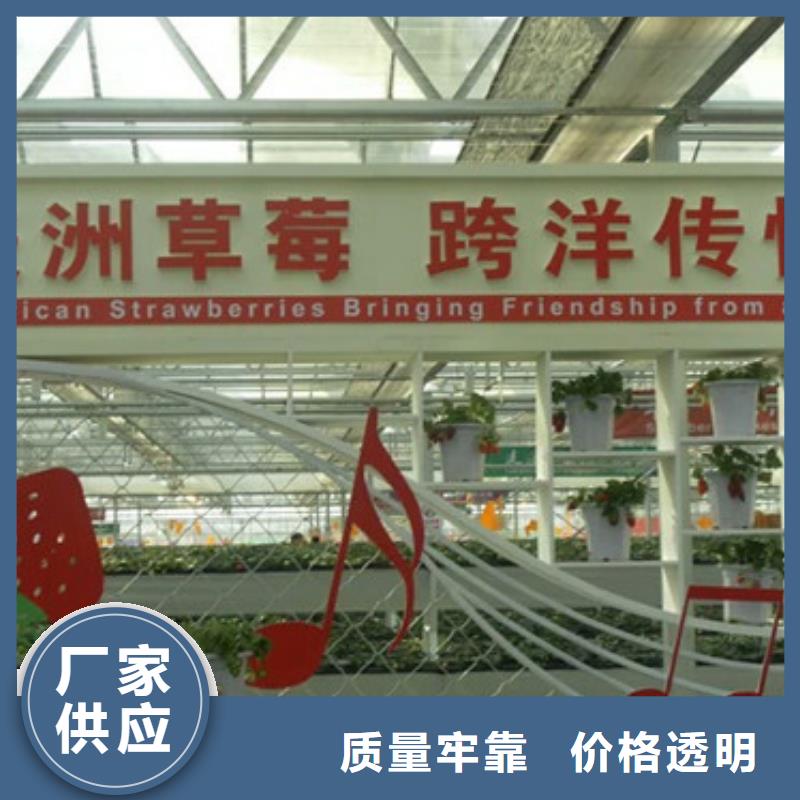 龍港白雪公主草莓苗育苗廠家