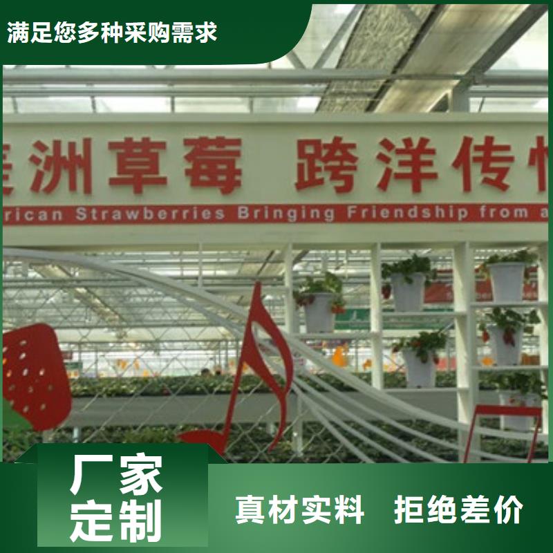 草莓苗软籽石榴树苗高标准高品质