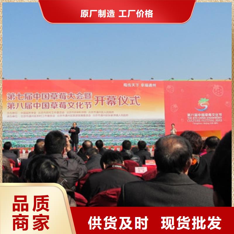 草莓苗苹果苗快速发货