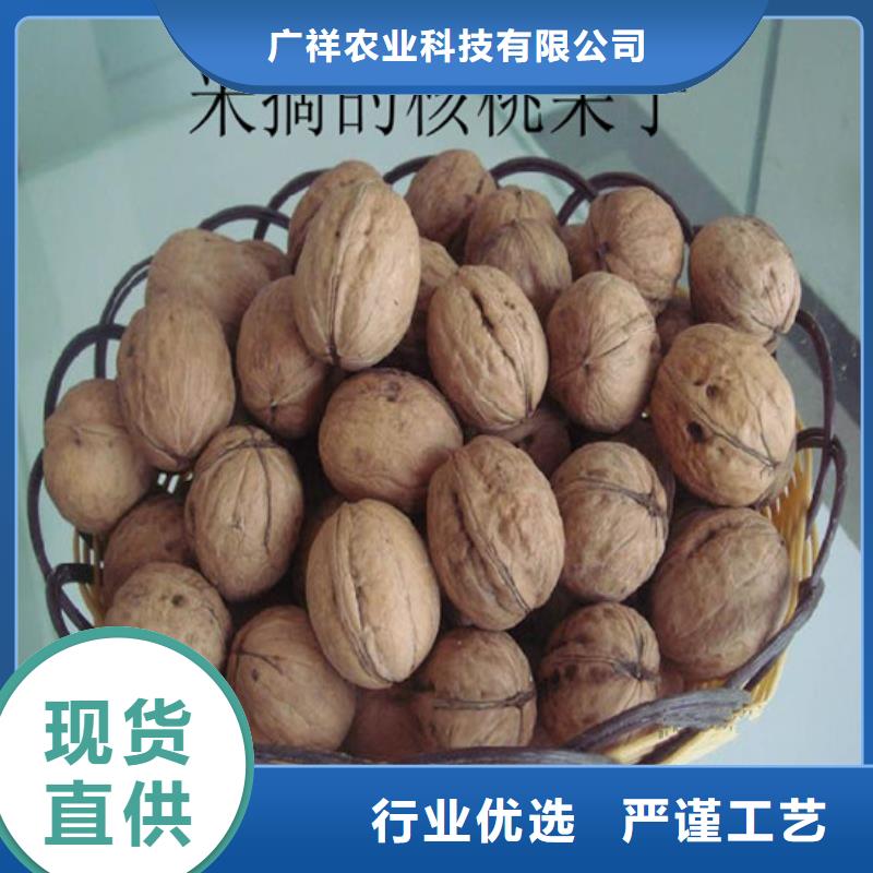 核桃苗陽(yáng)光玫瑰葡萄樹苗選擇我們選擇放心