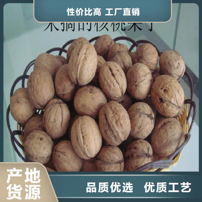 【核桃苗櫻桃苗基地一站式采購商】