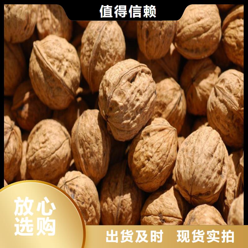 核桃苗_蘋果苗嚴選材質