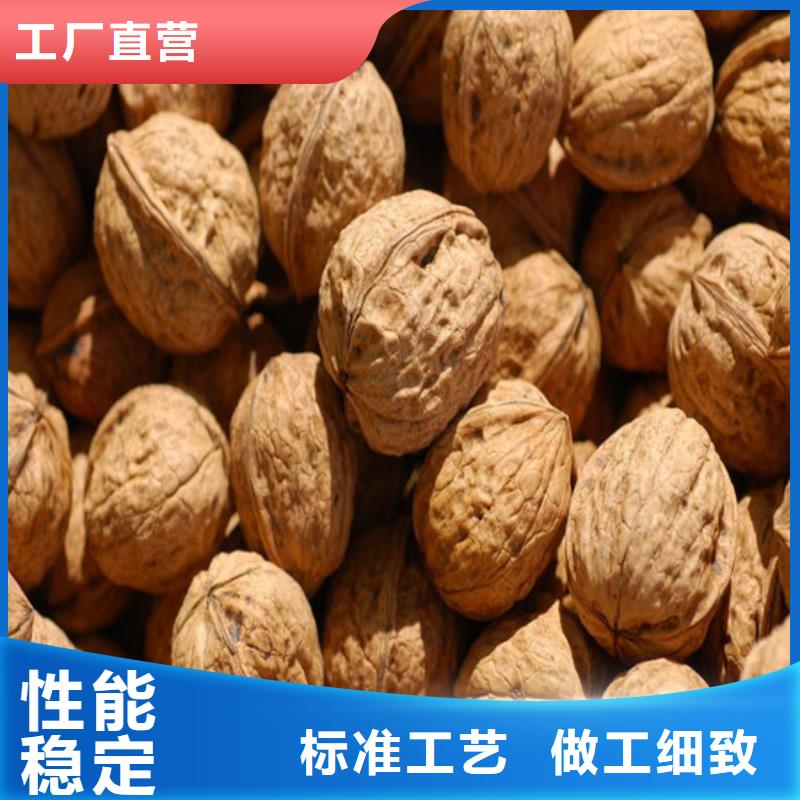 核桃苗【大棚草莓苗】本地廠家值得信賴