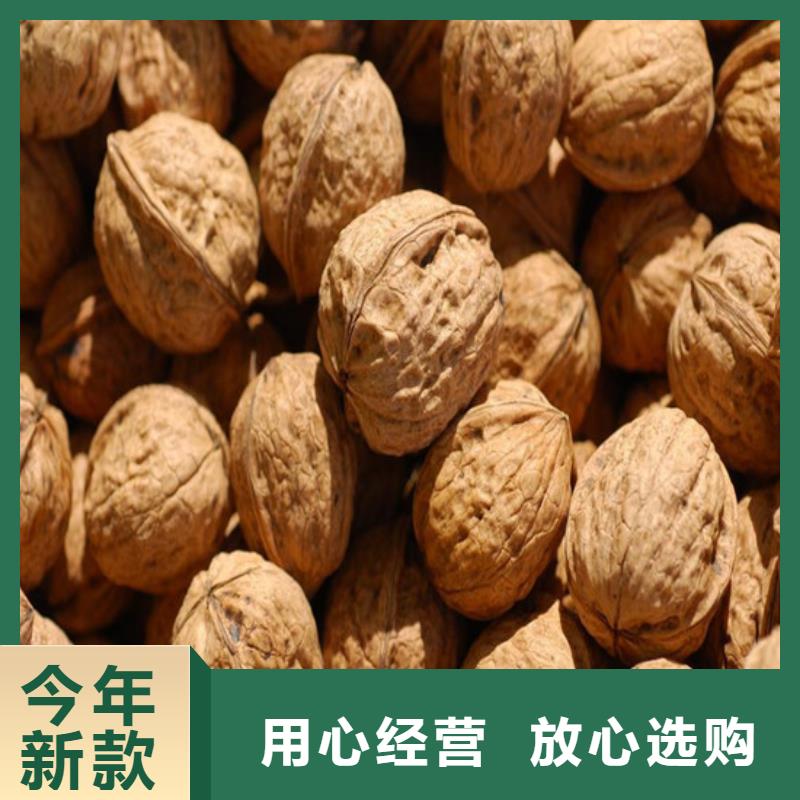核桃苗蘋果苗品質(zhì)服務(wù)誠信為本