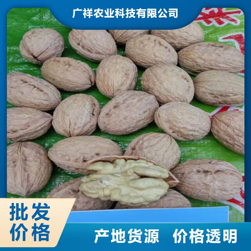 【核桃苗】-葡萄苗擁有核心技術優勢
