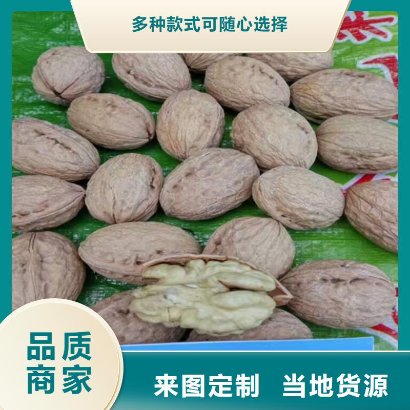 核桃苗藍(lán)莓苗卓越品質(zhì)保障
