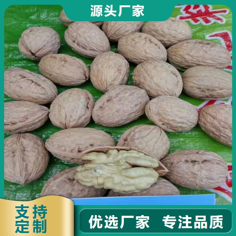 核桃苗_桃樹苗口碑好實力強