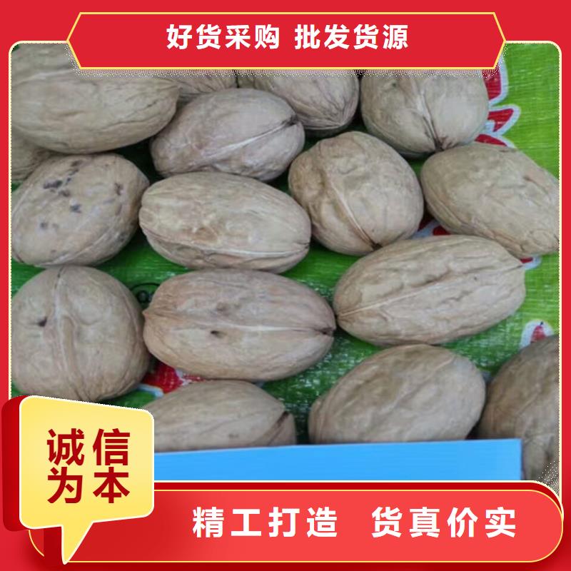 核桃苗,【苹果苗】可定制有保障