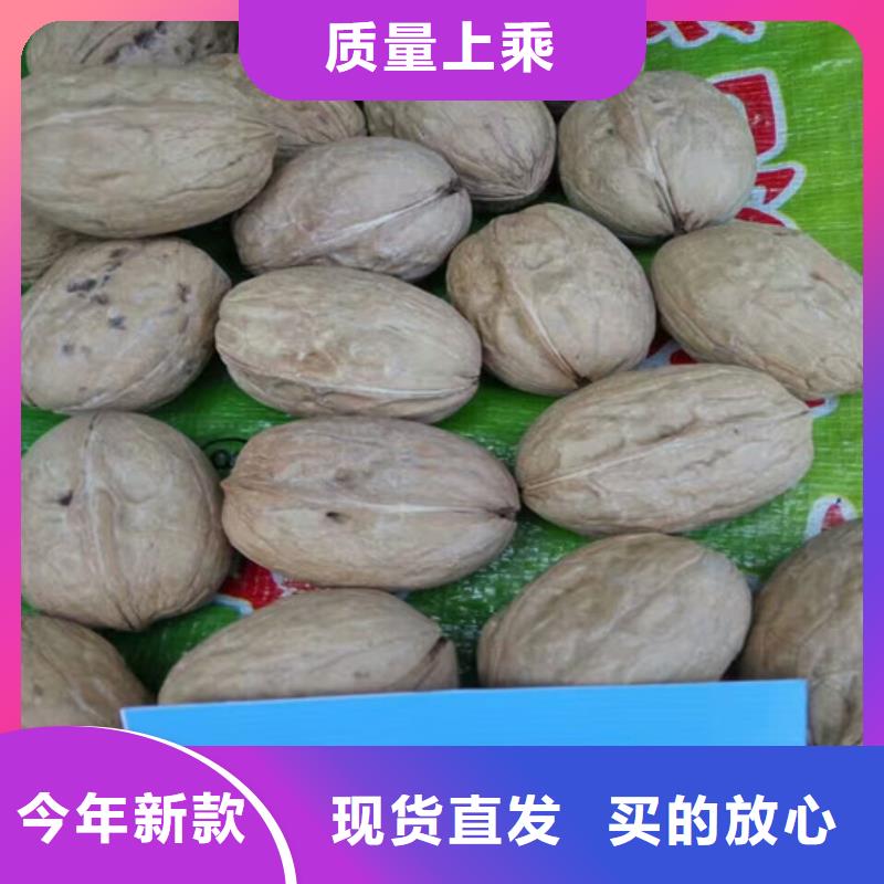 核桃苗_陽光玫瑰葡萄樹苗用心做好細節