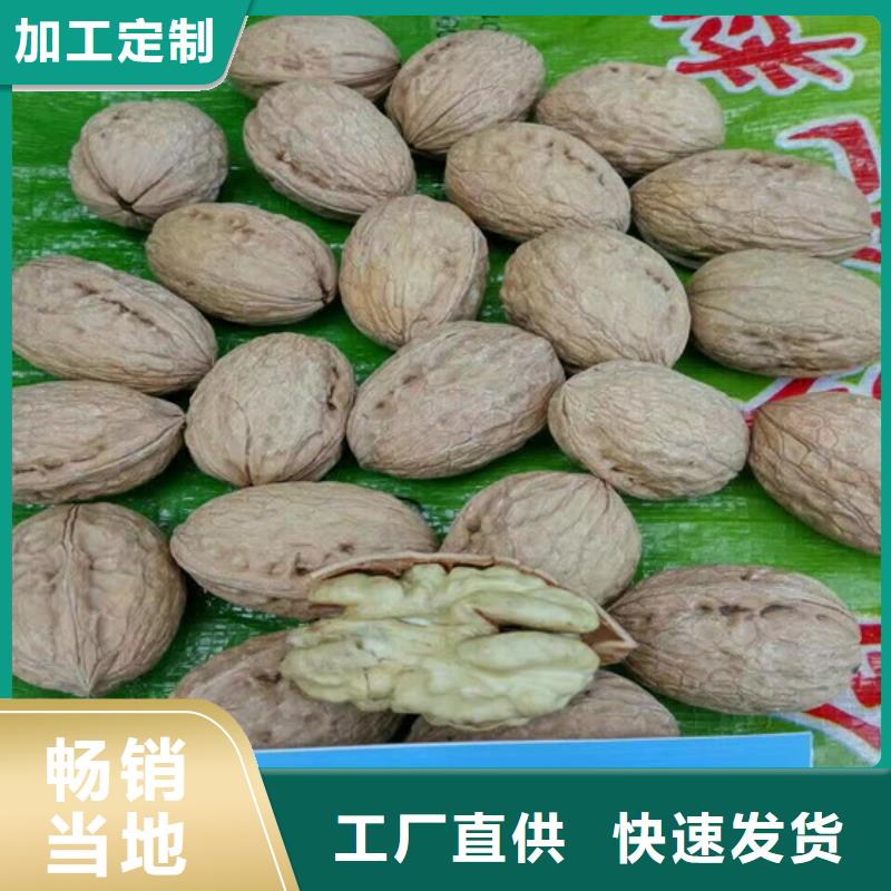 核桃苗藍(lán)莓苗卓越品質(zhì)保障